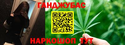 шишки Новокубанск