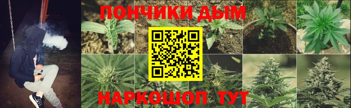 Конопля Ganja  Шишки марихуана OG Kush  МАРИХУАНА Bruce Banner  Трёхгорный  Вход с VPN  Бошки марихуана OG Kush 
